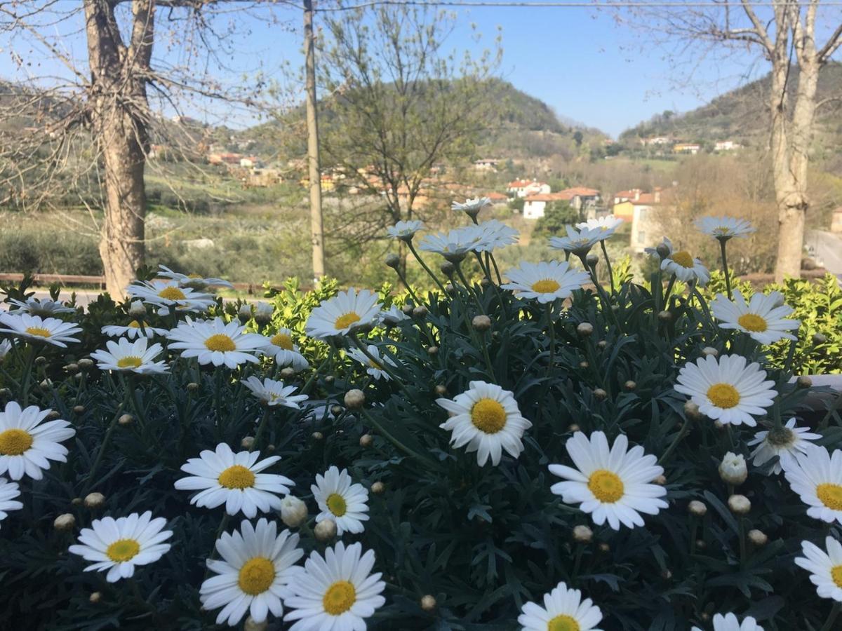 Belvedere Resort Ai Colli ガルツィニャーノ・テルメ エクステリア 写真