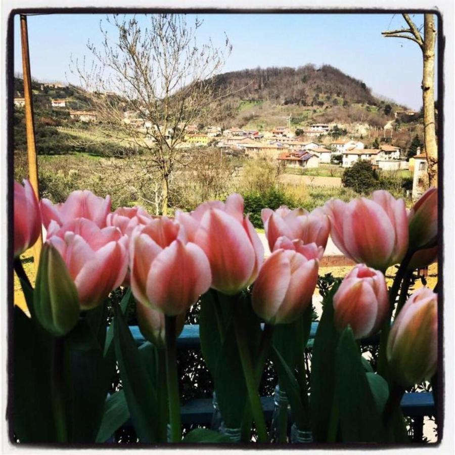 Belvedere Resort Ai Colli ガルツィニャーノ・テルメ エクステリア 写真